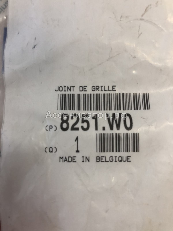 Молдинг лобового стекла PEUGEOT 407 8251W0